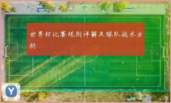 世界杯比赛规则详解及球队战术分析