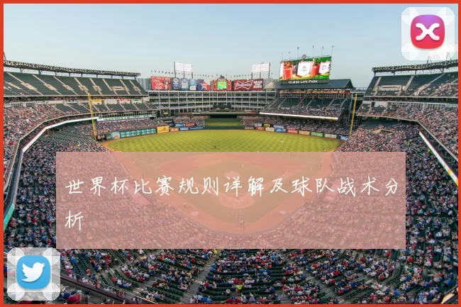 世界杯比赛规则详解及球队战术分析