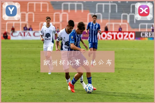 欧洲杯比赛场地公布