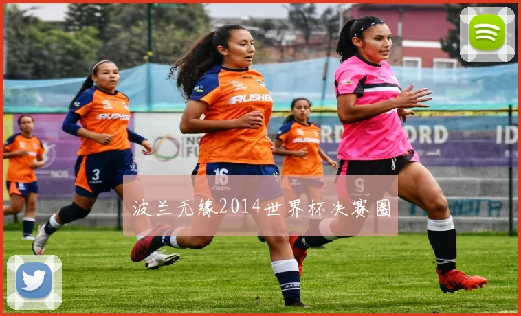 波兰无缘2014世界杯决赛圈