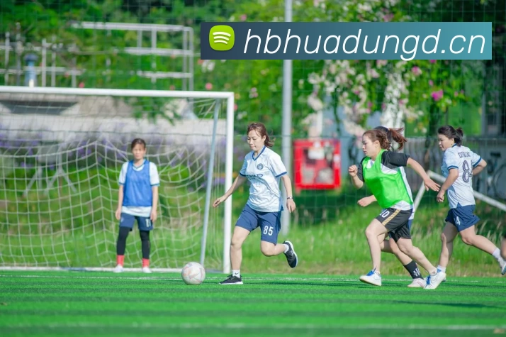 九游·官方站入口 - JiuYou j9(中国)平台生态图